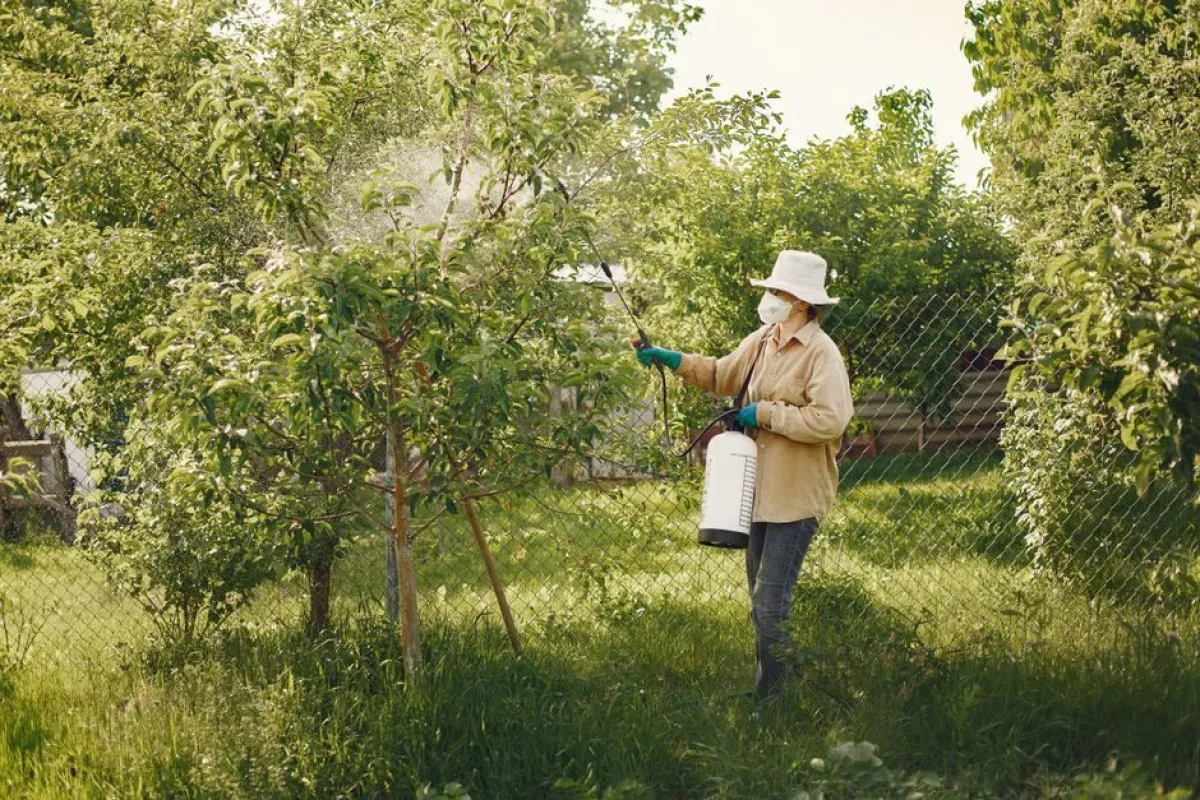 Pest Control Companies in Miami